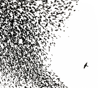 Wilco Sky Blue Sky (ECD) Формат: ECD (Jewel Case) Дистрибьюторы: Nonesuch Records, Торговая Фирма "Никитин" Европейский Союз Лицензионные товары Характеристики аудионосителей 2007 г Сборник: Импортное издание инфо 9492g.