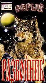 Серый разбойник Серия: Кино о животных инфо 13520h.